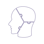 fractional cmo head